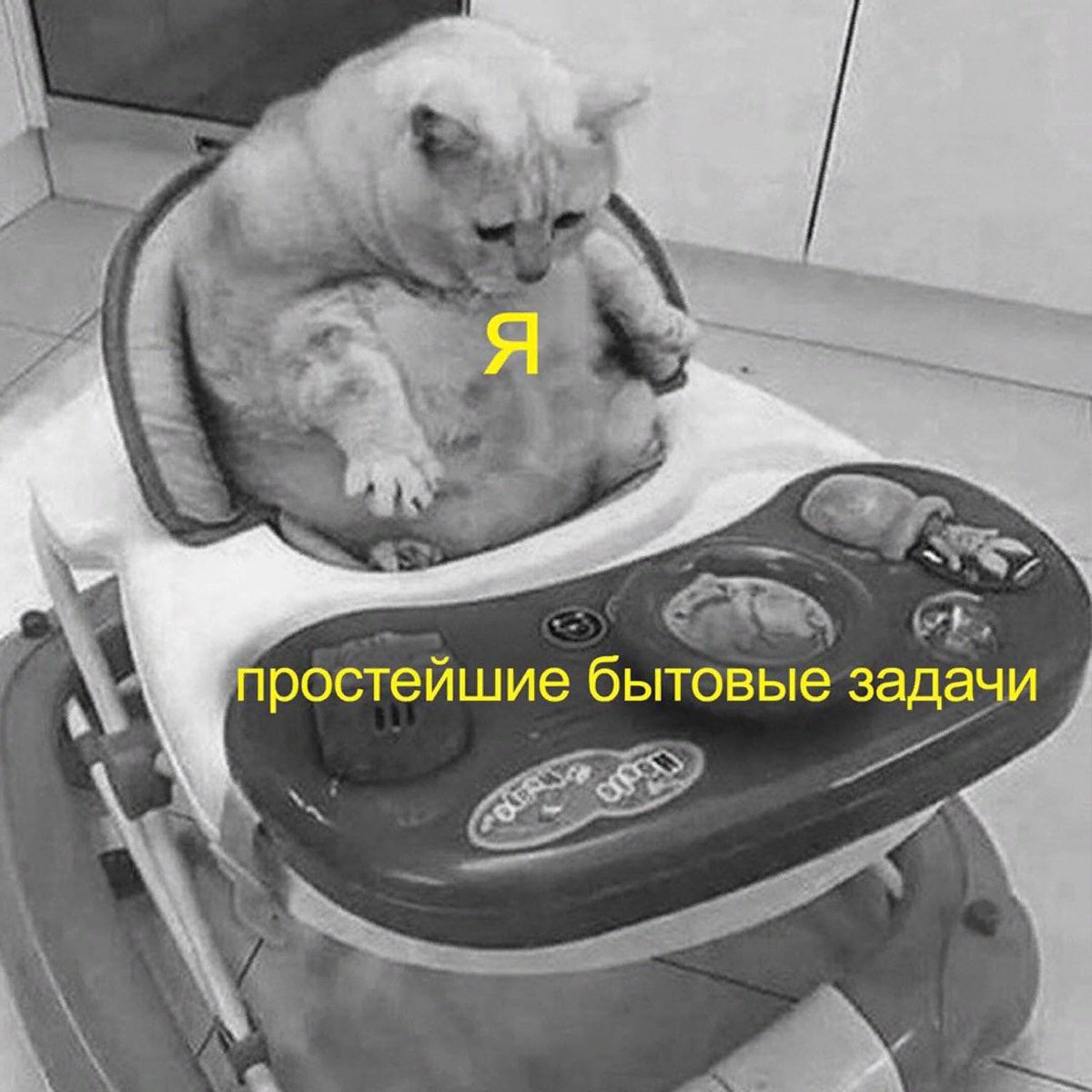 t. (@timcosx) on Twitter photo 