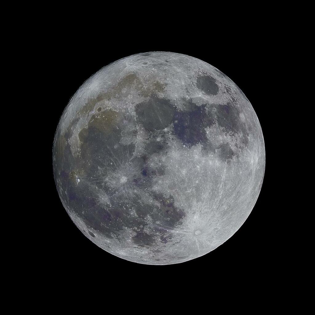 Full moon today. Good luck! #wellcarpy