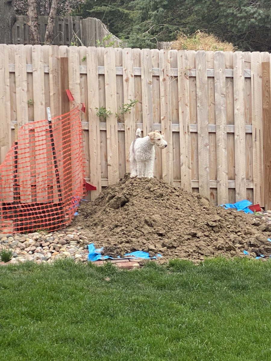 tk2471's tweet photo. Thank you @OPPDCares for putting this in the yard three weeks ago and haven’t touched it since. Benny appreciates it. https://t.co/vGtmKu8ni6