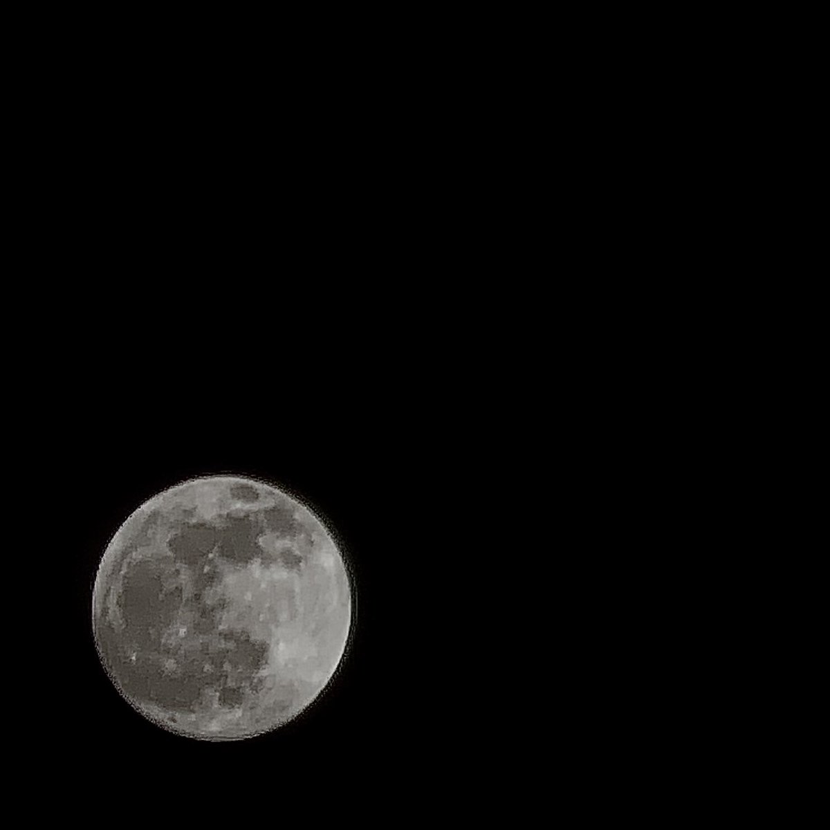 jj2n3's tweet photo. القمر اليوم
- تصوير التيلسكوب

                         🌕💗💗💗💗.

🔭 https://t.co/bduyYy0hDR