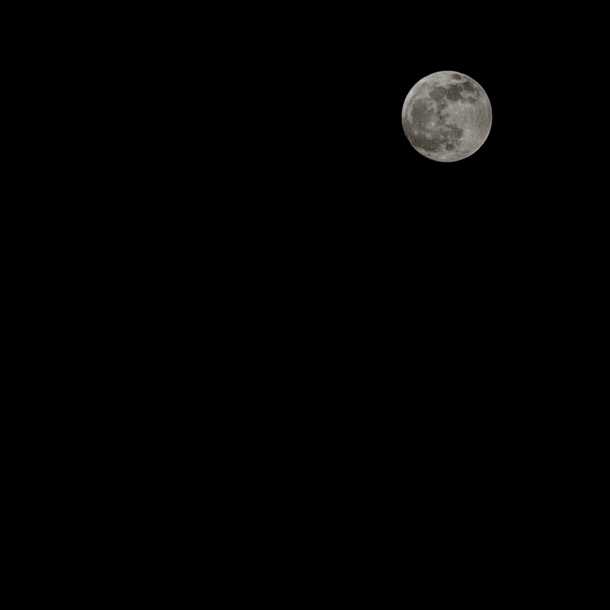 jj2n3's tweet photo. القمر اليوم
- تصوير التيلسكوب

                         🌕💗💗💗💗.

🔭 https://t.co/bduyYy0hDR