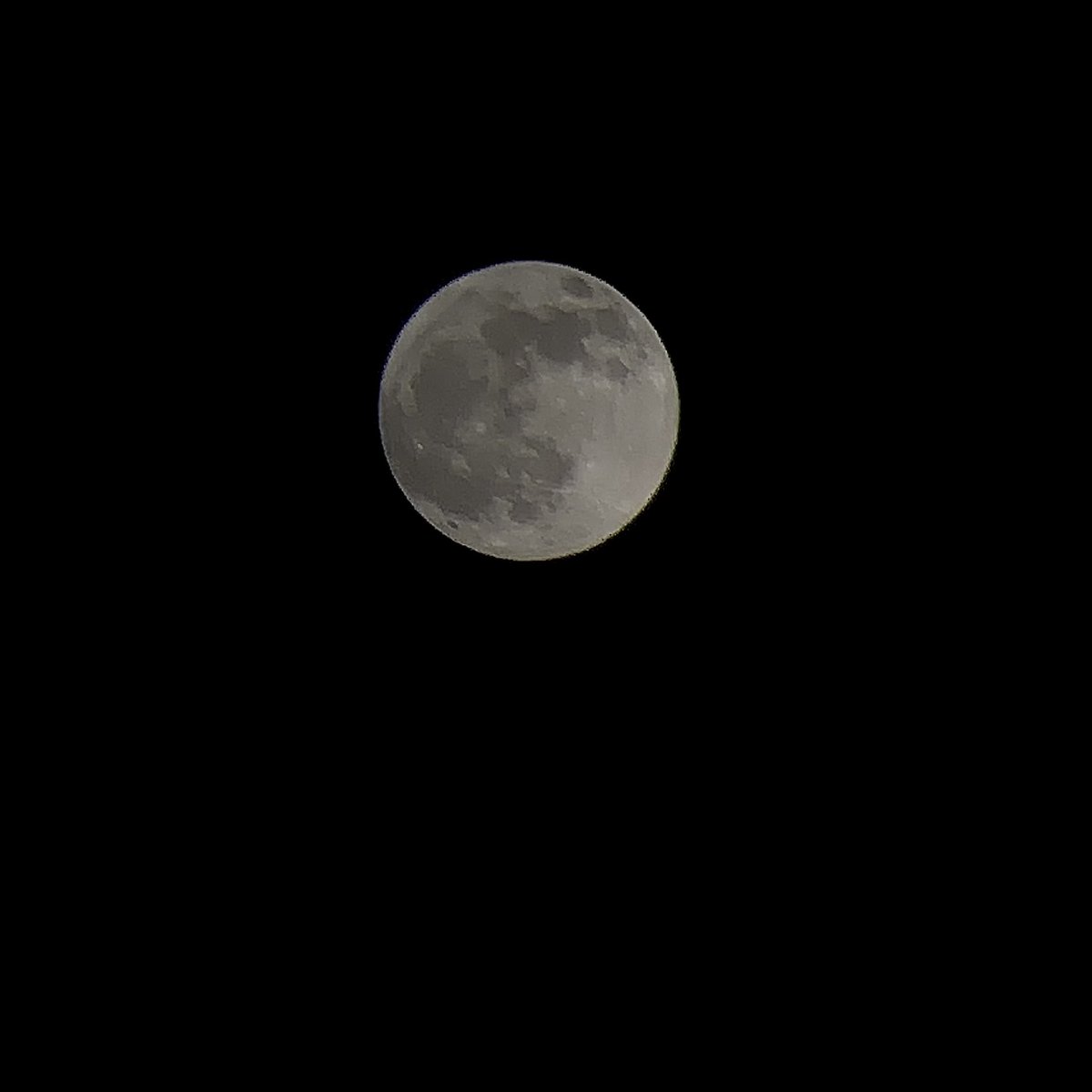 jj2n3's tweet photo. القمر اليوم
- تصوير التيلسكوب

                         🌕💗💗💗💗.

🔭 https://t.co/bduyYy0hDR