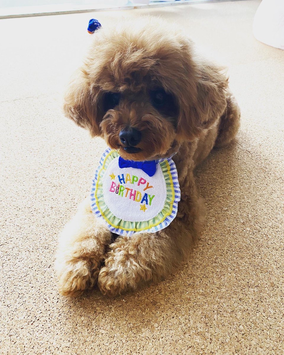 MARO君の太陽 tweet media