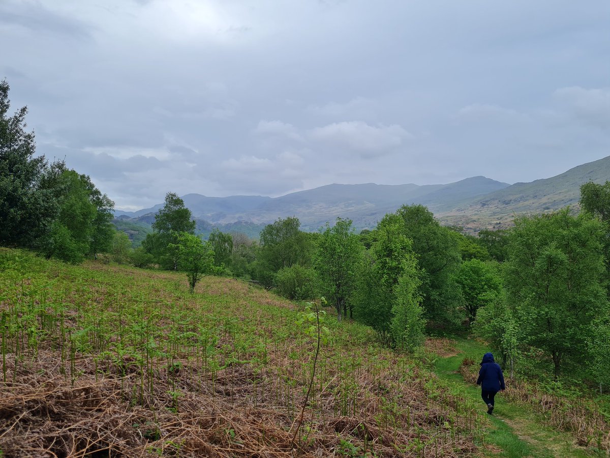 PhilSipocz's tweet photo. Little tea time walk and my little friend who's been singing his heart out in the garden today was waiting when we got back. #LakeDistrict #Cumbria #Lakes #DuddonValley #DowCrag #Caw #SwirlHow https://t.co/5ezejDGzBy