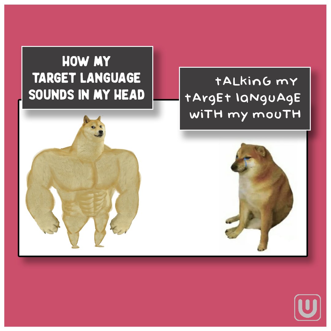 Linguado's tweet photo. That's why #Linguado is here
#languagememes #meme #relatable #targetlanguage #idiomas #practicelanguages #languageskills #golinguado #doyouspeaklinguado #langtwt #studytwt https://t.co/iwIHU34IA5