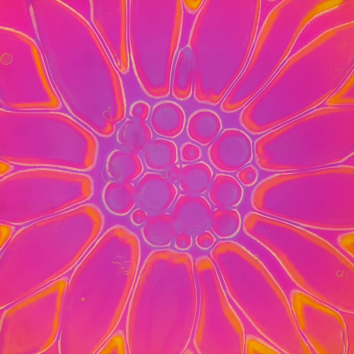 illumarco's tweet photo. Happy International Day of Light to all my Lighting Friends around the Globe! #IDL2022 #LightDay2022 @IDLofficial #Optographix #PrintopticalArt #LightArt https://t.co/WBrLUNH52v