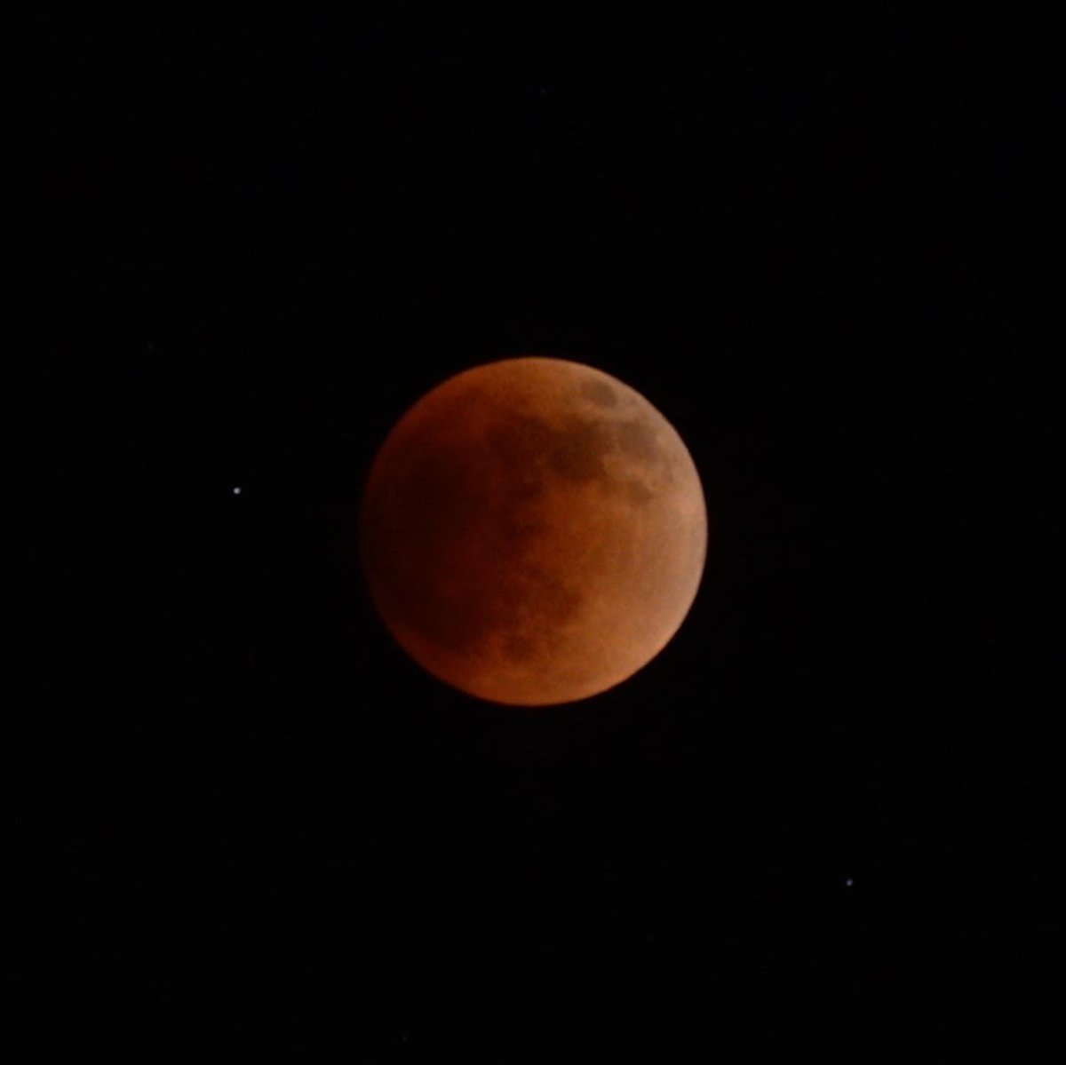 MelissaBachman's tweet photo. Some cool shots I took last night of the lunar eclipse plus Noah got his turkey &amp; the moon was shining bright! https://t.co/tD5m203VrL