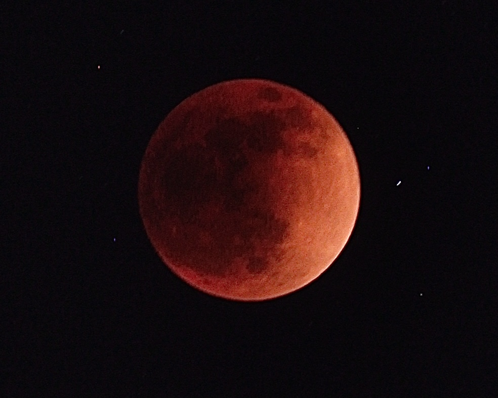 ¡Luna de sangre!

La noche de ayer un eclipse total tiño la luna de rojo, regalándonos un espectáculo pocas veces vistos.

(Foto: JAG)