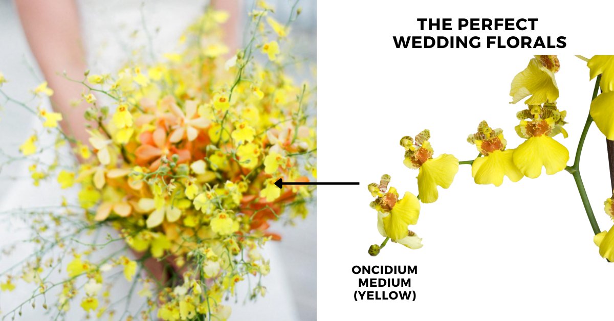 Two amazing products in our promo email. How beautiful are these garden roses!  <a href="/DavidAustin/">David Austin</a> Juliet is stunning as an entire bouquet. I have also recently fell in love with the vibrant yellow Oncidium (dancing lady orchid) Wild &amp; whimsical, yet romantic. Ask your rep about these!
