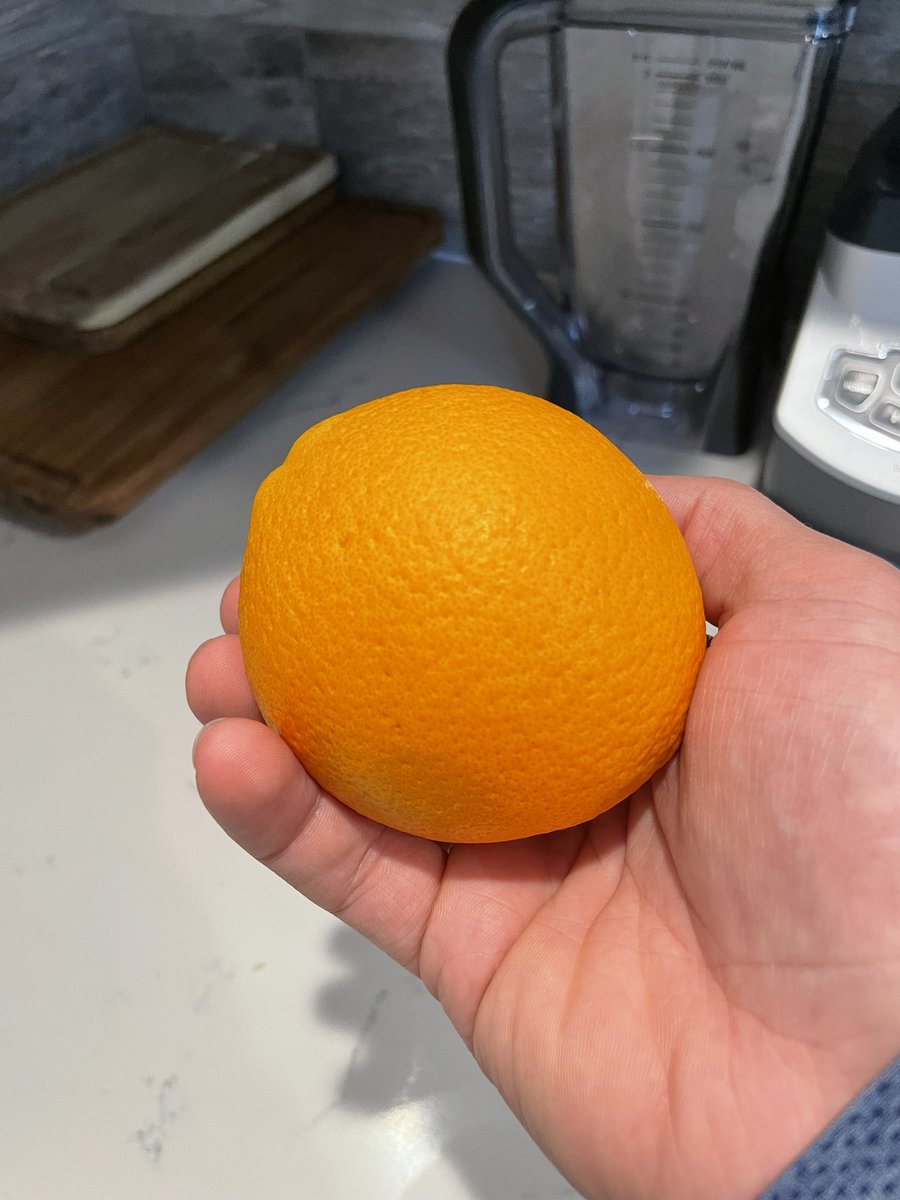 silvr's tweet photo. Too late to join? 🍊 @orangedaooo https://t.co/awEeilX6QK