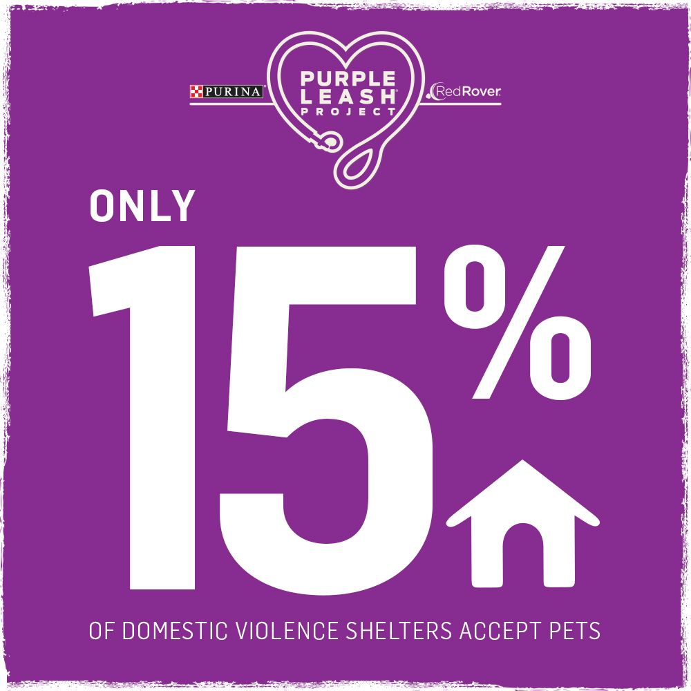 The Purple Leash Project aims to keep pets &amp; people together by increasing the number of pet-friendly domestic violence shelters in the US. Today only 15% of shelters accept pets, but together we can change that. Get involved: purina.com/about-purina/p…
