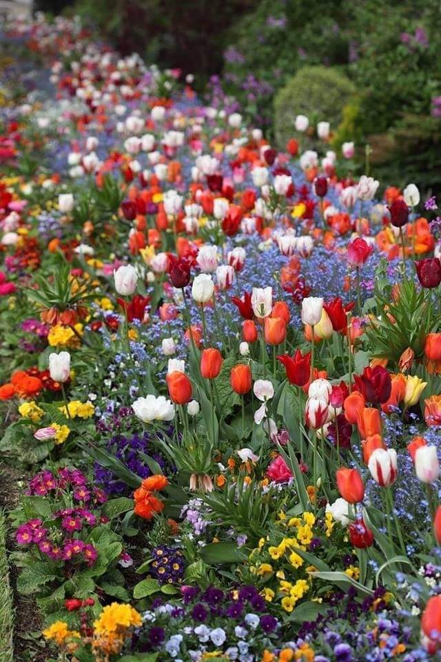 تكمله للموضوع الدعاره هي منطلق للعصابات الاتجار بالبشر  والمخدرات والشذوذ والتجسس هنا تسمى الثقافه الناعمه. غرضها تهديم العرب وتقاليدهم وتدمير بنيتهم المجتمعيه  لابد من متابعة ومراقبة صفحات تبادل زوجات والتحرر وغيرها