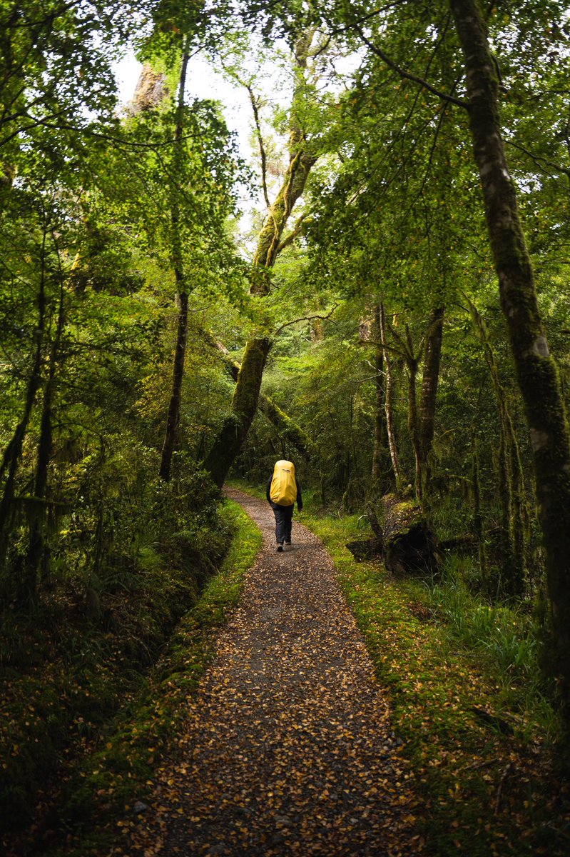What’s your favourite NZ great walk? #greatwalks #NewZealand #milfordtrack #nz #hiking