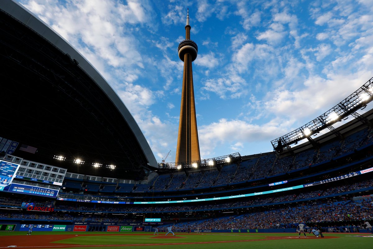 Views from the 6ix. 😍