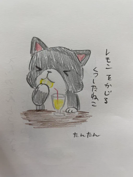 レモンをかじるくつしたねこ
#イラスト #猫 