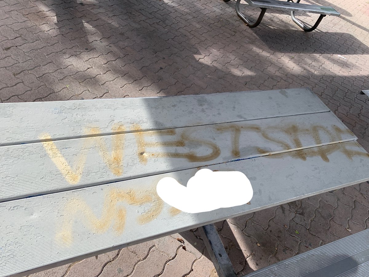 OurTownReno's tweet photo. Despicable messages in northern Nevada in Sparks following the Buffalo shooting have been scribbled over, except for one with the N word (we cut out) all near Lincoln Park school.  This weekend there was no scribble and Heil Hitler and a swastika were in red. pics by @jakelorgee https://t.co/uUbFREOT5E