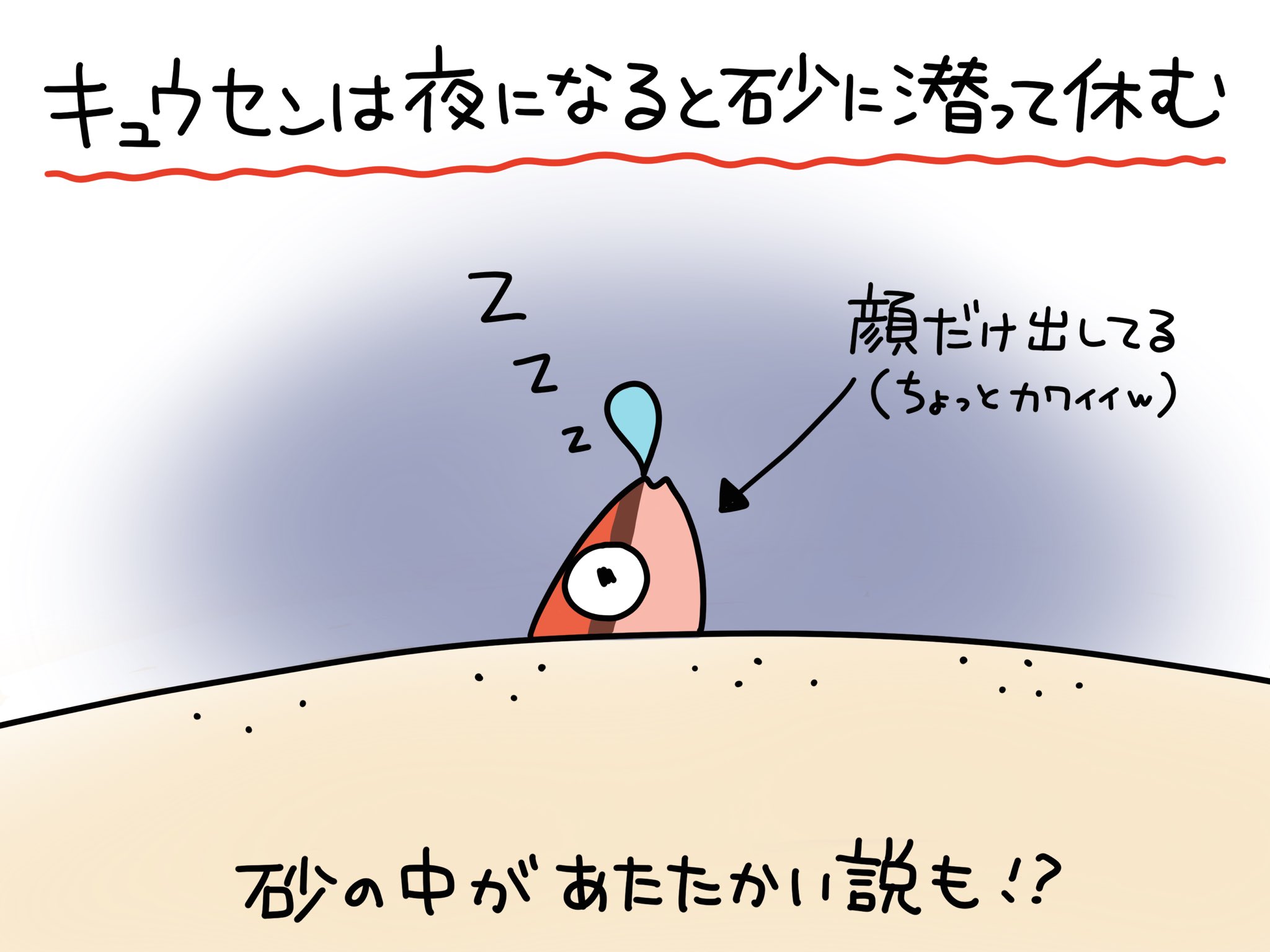 ふくちゃん 魚のイラスト Yawatano Twitter