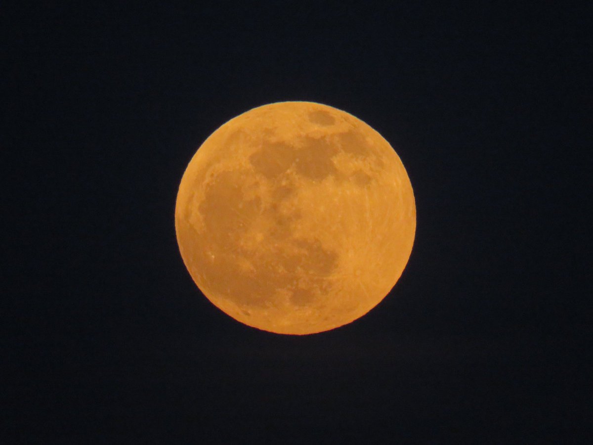 coachpam2's tweet photo. May brings the Full Flower Frog Budding Super Blood Moon🌸🐸🌙🍃❤️! #fullmoon #flowermoon #frogmoon #buddingmoon #superbloodmoon #eclipse #nature #naturephotography #moonlight #moonmagic #observethemoon @ThePhotoHour https://t.co/BJOf5tLmmf