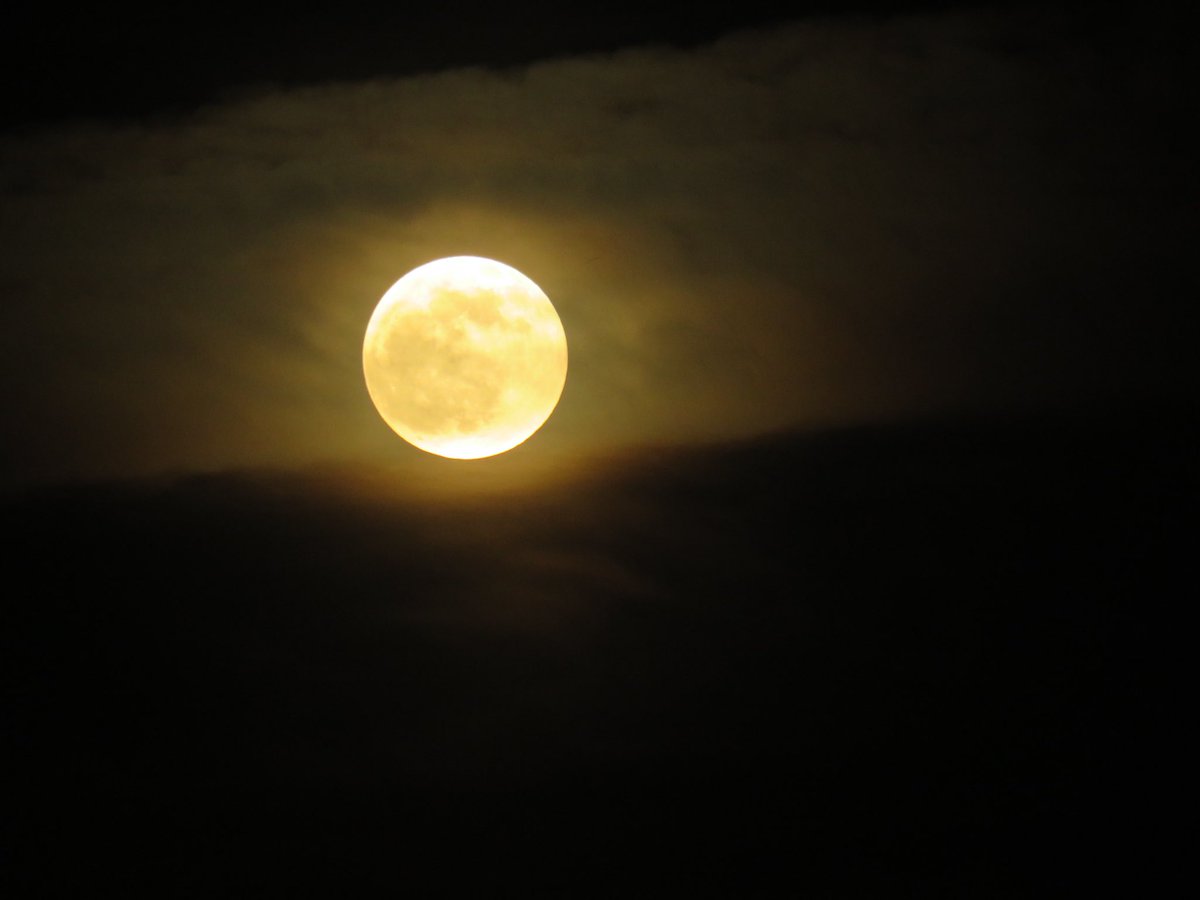 coachpam2's tweet photo. May brings the Full Flower Frog Budding Super Blood Moon🌸🐸🌙🍃❤️! #fullmoon #flowermoon #frogmoon #buddingmoon #superbloodmoon #eclipse #nature #naturephotography #moonlight #moonmagic #observethemoon @ThePhotoHour https://t.co/BJOf5tLmmf