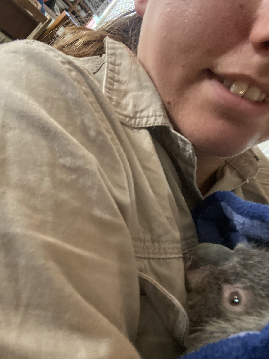 VandijkFor's tweet photo. This week is #nationalvolunteersweek and I want to take this moment to celebrate the fact that we are a country of volunteers! 

I personally have always volunteered my time, especially for a cause that I am passionate and have been a volunteer with the Greens since I was 17! https://t.co/F4wzwEtwVK