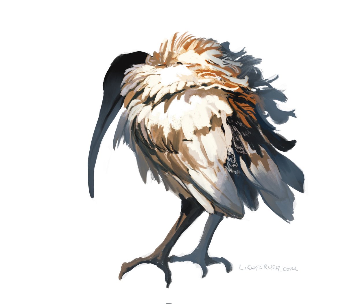 「Still fond of this pal 」|Jenna Vincentのイラスト