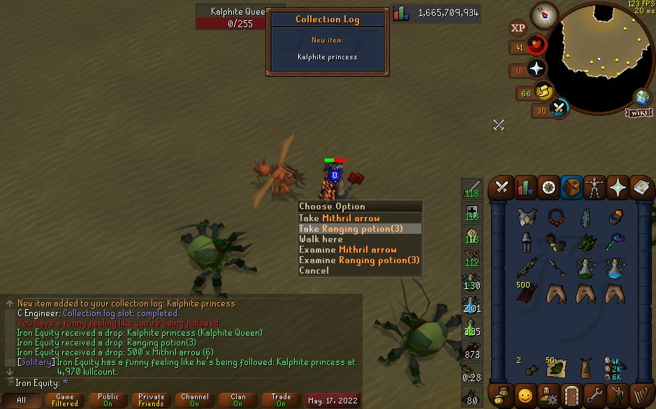 JackRS__'s tweet photo. Pet #29 :) Going to be opening more hard clues tomorrow. https://t.co/yIagAzJhik