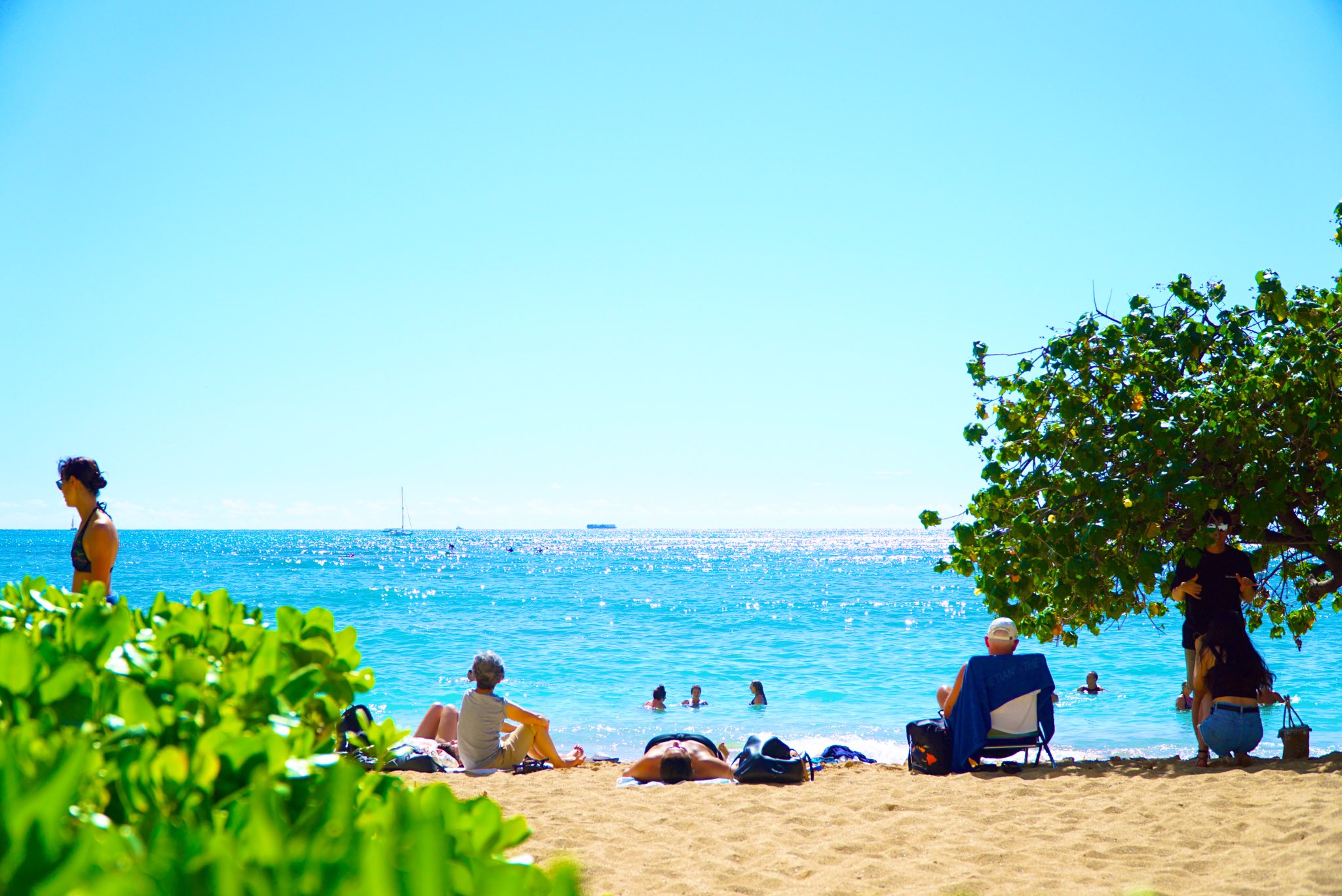 Twitter এ 地球の歩き方 新刊 Alohaを感じるハワイのことばと絶景100 から 5月26日の発売まで毎日おすすめの名言をご紹介 神聖な カヴァへヴェへ の癒やし写真とともに贈ることわざ 結局のところ ハワイは地球で最もすばらしい場所だ 本書ではハワイ語も