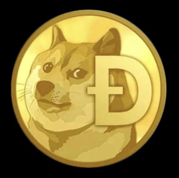 Allin4DOGE's tweet photo. #isupportdogecoin #dogecoin #dogearmy #doge #allin4doge https://t.co/CIEdAJb4M3