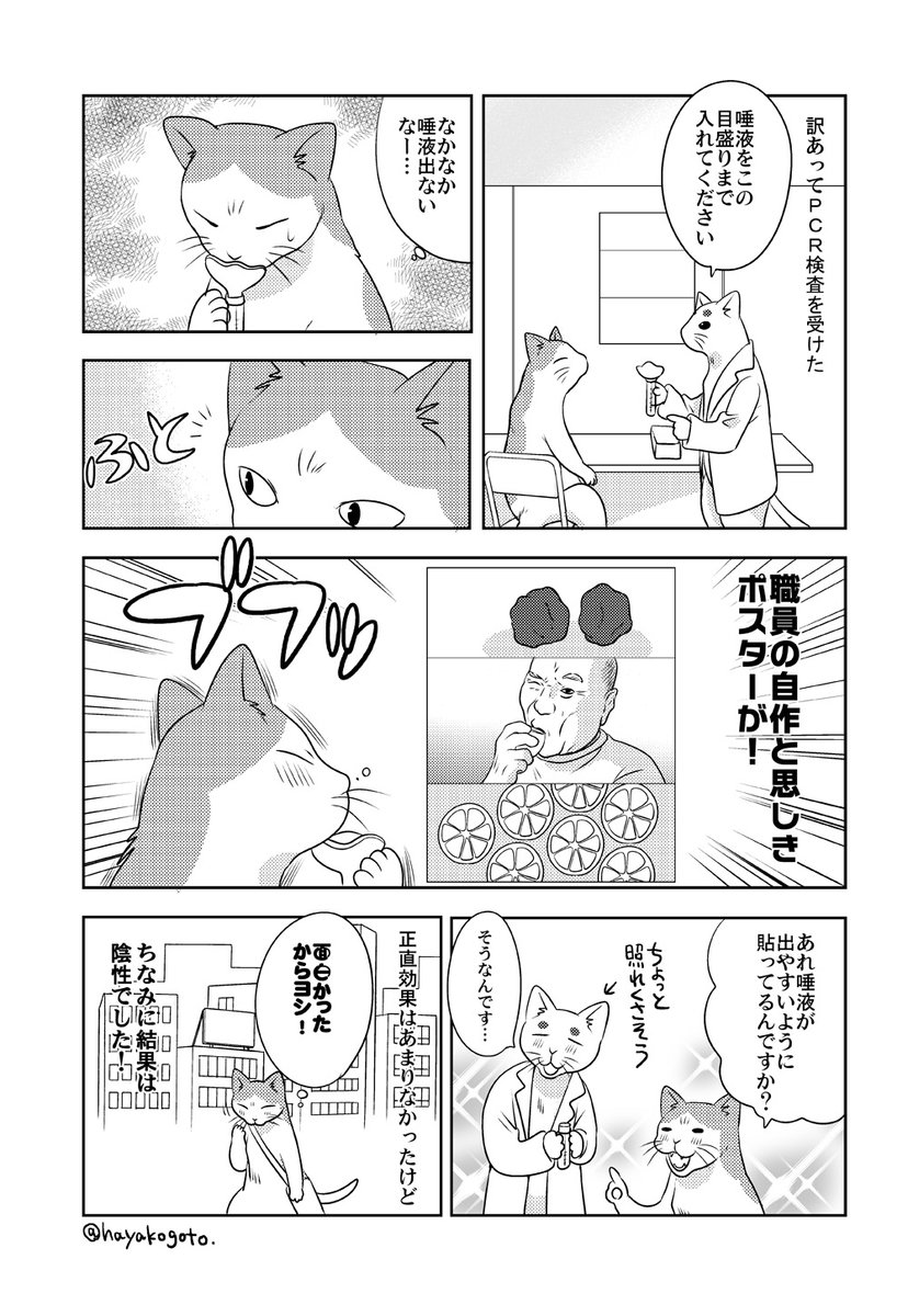 先日PCR検査を受けたときのこと。 
