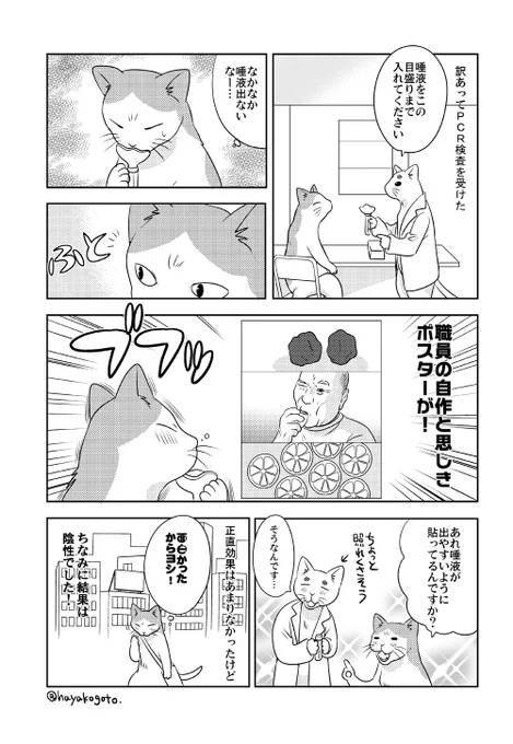 先日PCR検査を受けたときのこと。 