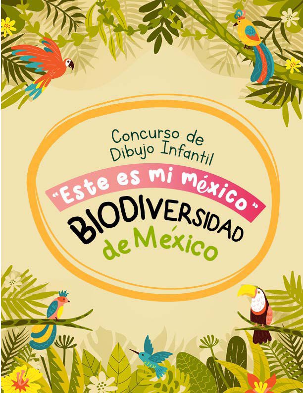 afph_fahj's tweet photo. El Consulado de Mexico en Miami anuncia la Convocatoria del XXVI Concurso de Dibujo INFANTIL “Este es mi Mexico” con el tema ‘biodiversidad’. @elnuevoherald @ConsulMexMia @SRE_mx @El_Universal_Mx @UniNoticias https://t.co/clHnvFLGR6