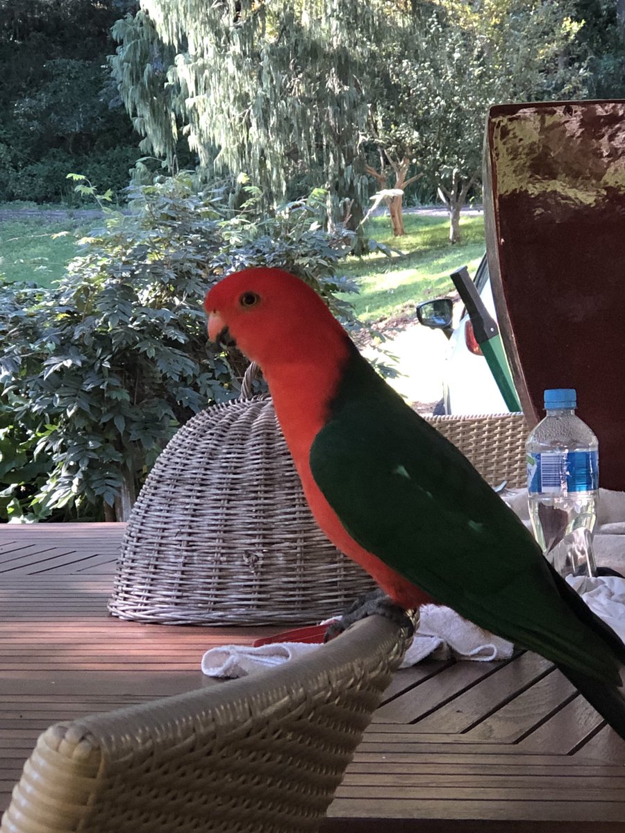 This is my board-paper-reading companion…