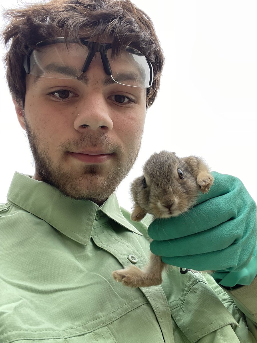 This rabbit was trapped in a waterwell so I saved it