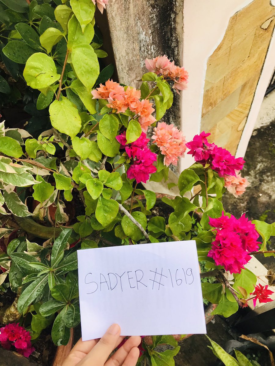 sadyer20's tweet photo. Dont forget to watering every morning or end the afternoon 💚🍀💐 @IsekaiMeta  #IsekaiQuests https://t.co/pgkCzoWmNQ