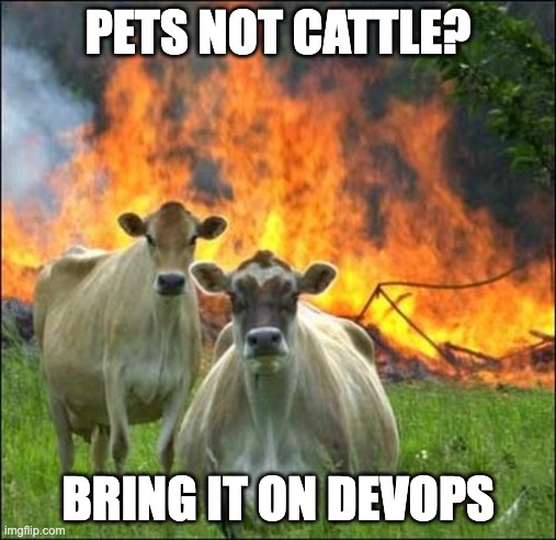 sheldon_hull's tweet photo. @CarmenCrincoli #thisisdevops https://t.co/2XA6NFTWcB