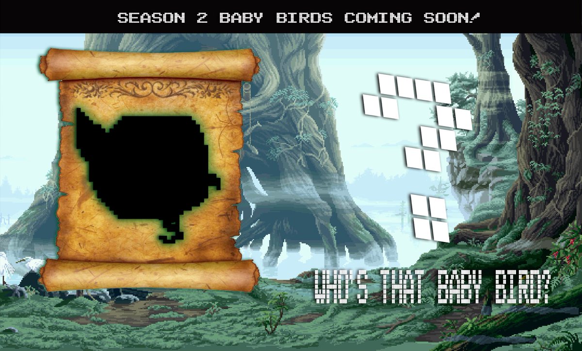 Fancy Birds Official tweet media