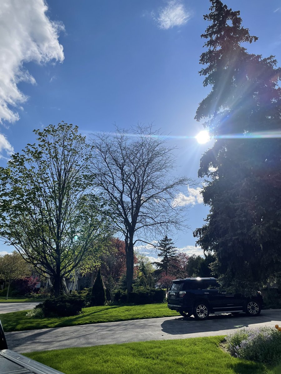 darchy9's tweet photo. @MirtoGianfranco @townofoakville Thank goodness we didn’t expose the kids or the fields to this weather system. 5:45pm https://t.co/APehxCp1yl
