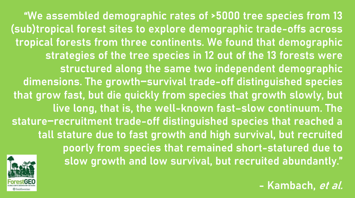 ForestGEO's tweet photo. To what extent do life-history strategies (namely: 1⃣ the fast-slow continuum &amp; 2⃣ a stature-recruitment trade-off) structure tropical forests worldwide?  In their new paper Kambach, et al. examine this question using data from 12 (!) @ForestGEO sites: https://t.co/lZacYZozrA https://t.co/ETb4omv668