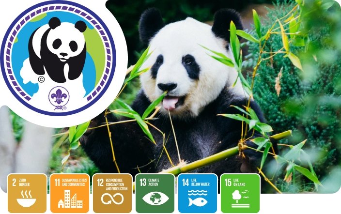 selinaroskam's tweet photo. Gezocht: ⚜️ #vacature als #earthtribe coach!
Om scouts bij een 🌱natuurprogramma te begeleiden vanuit het Earth Tribe programma van @worldscouting.
#vrijwilliger #leukeklus
https://t.co/SX6y0PjXEx https://t.co/FuecOQddmn