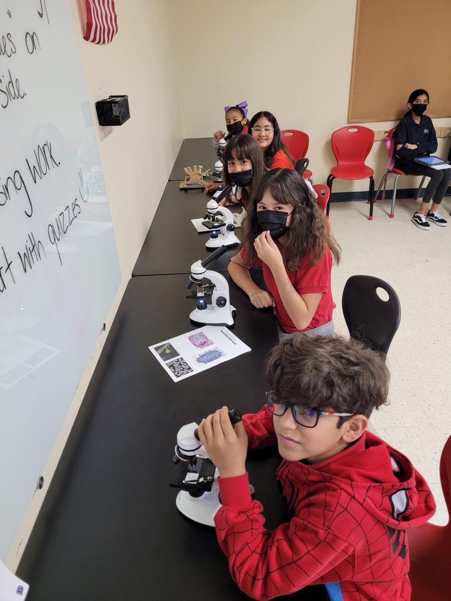 RECSTapestry's tweet photo. On Friday 5th grade visited a Middle School science classroom. They observed different cells & unicellular organisms through microscopes, explored different models and created their own molecules. #CSUSAToday #TITANPRIDE #TitanScience https://t.co/JitN8zEXOb