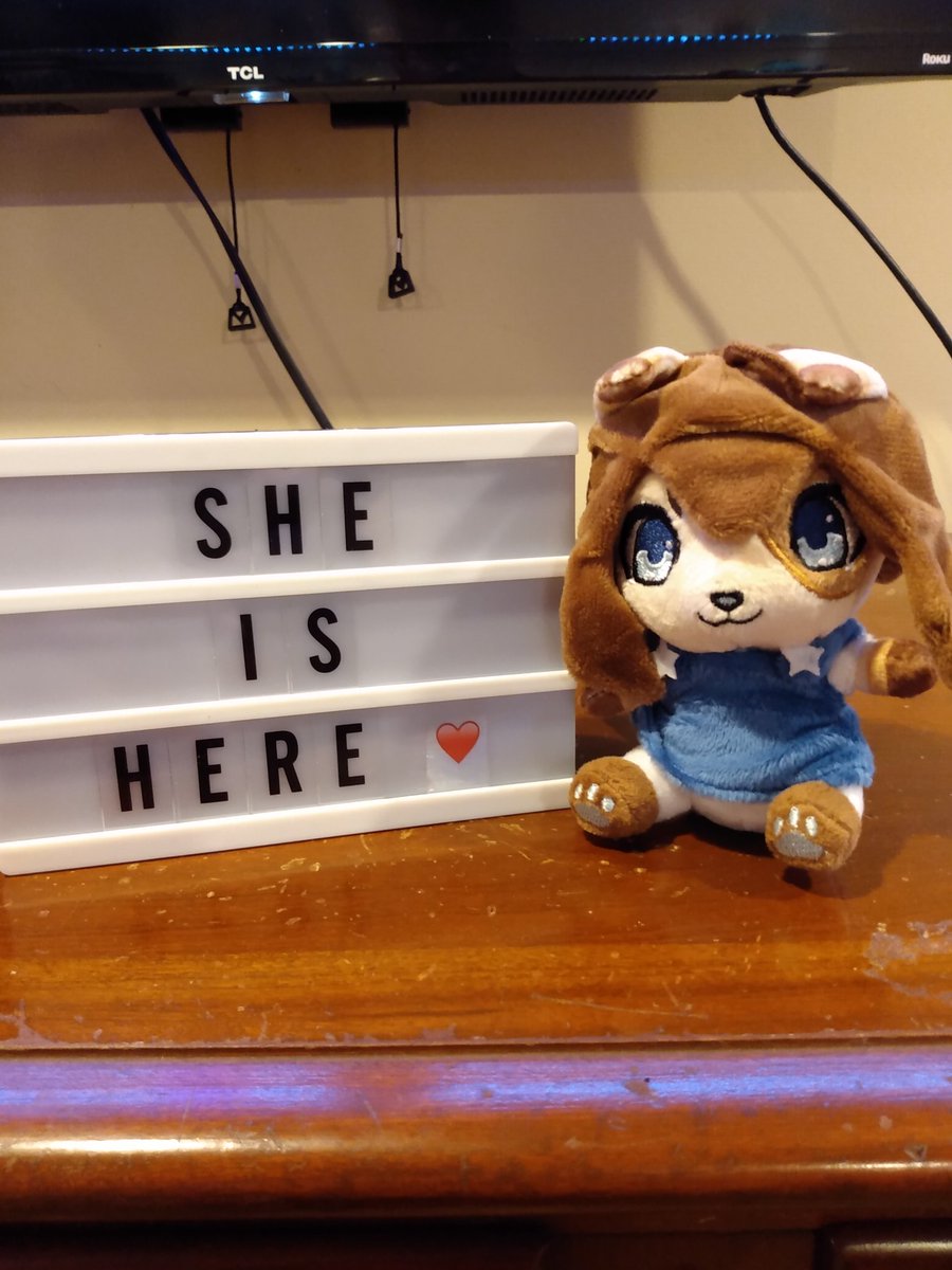 MrSoosa's tweet photo. @chinjireta she is finally here and just as cute as I thought and she got to go on a trip to the store with me https://t.co/JTBFcrSXdq