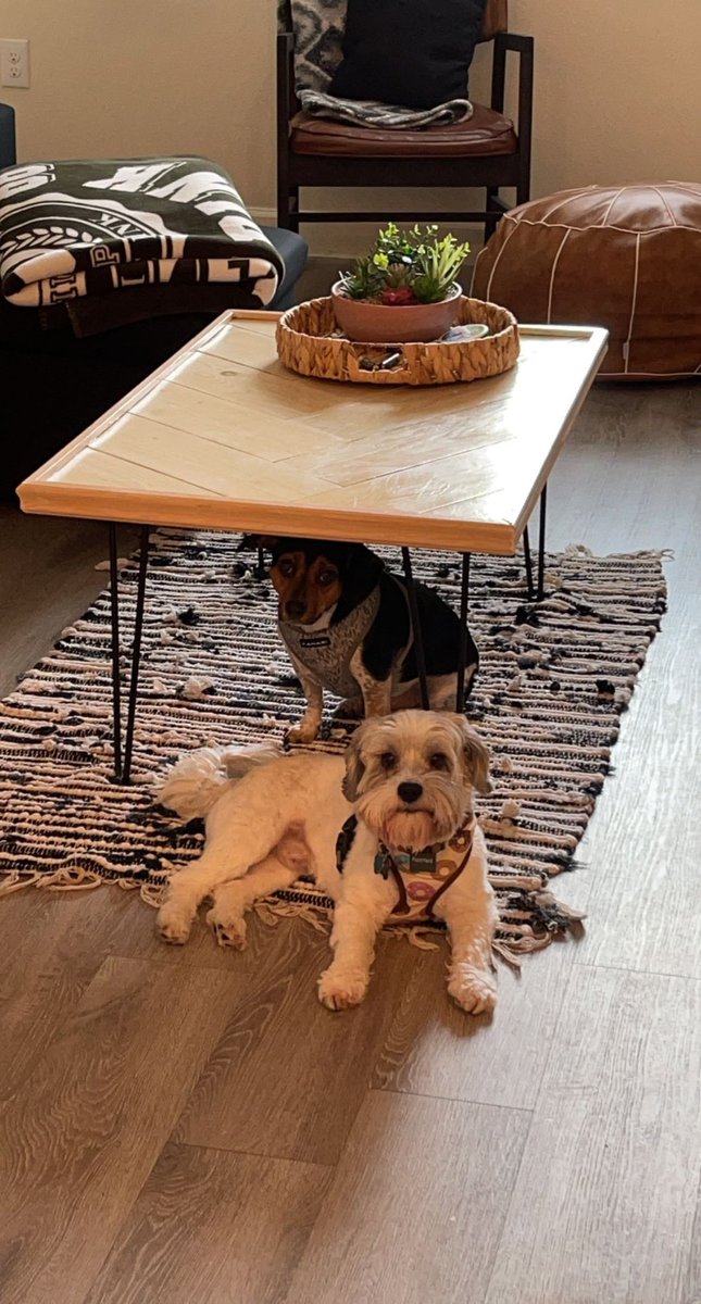 Meg 😎 tweet media