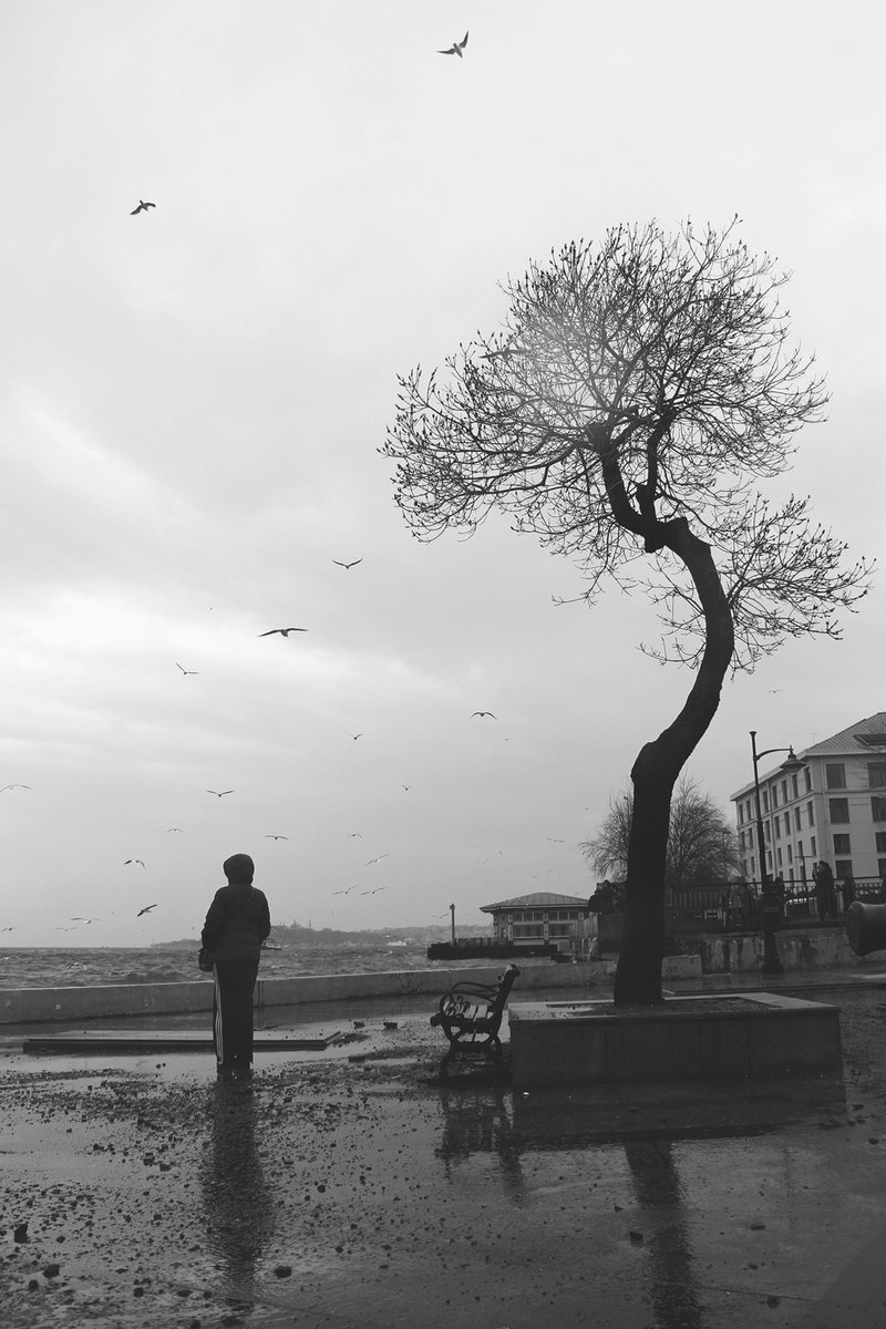 dileksandra_'s tweet photo. Yalnız olmak mı kendinle olmak mı?

To be alone or to be with yourself?

#nft #NFTs #nftart #nftphotography #nftphotographer #streetphotography #photography #art #book #literature #alone #birds #trees #kitap #edebiyat #sanat #yalnızlık #dostoyevski #istanbul #NFTCommunity https://t.co/8pkVhqOscm