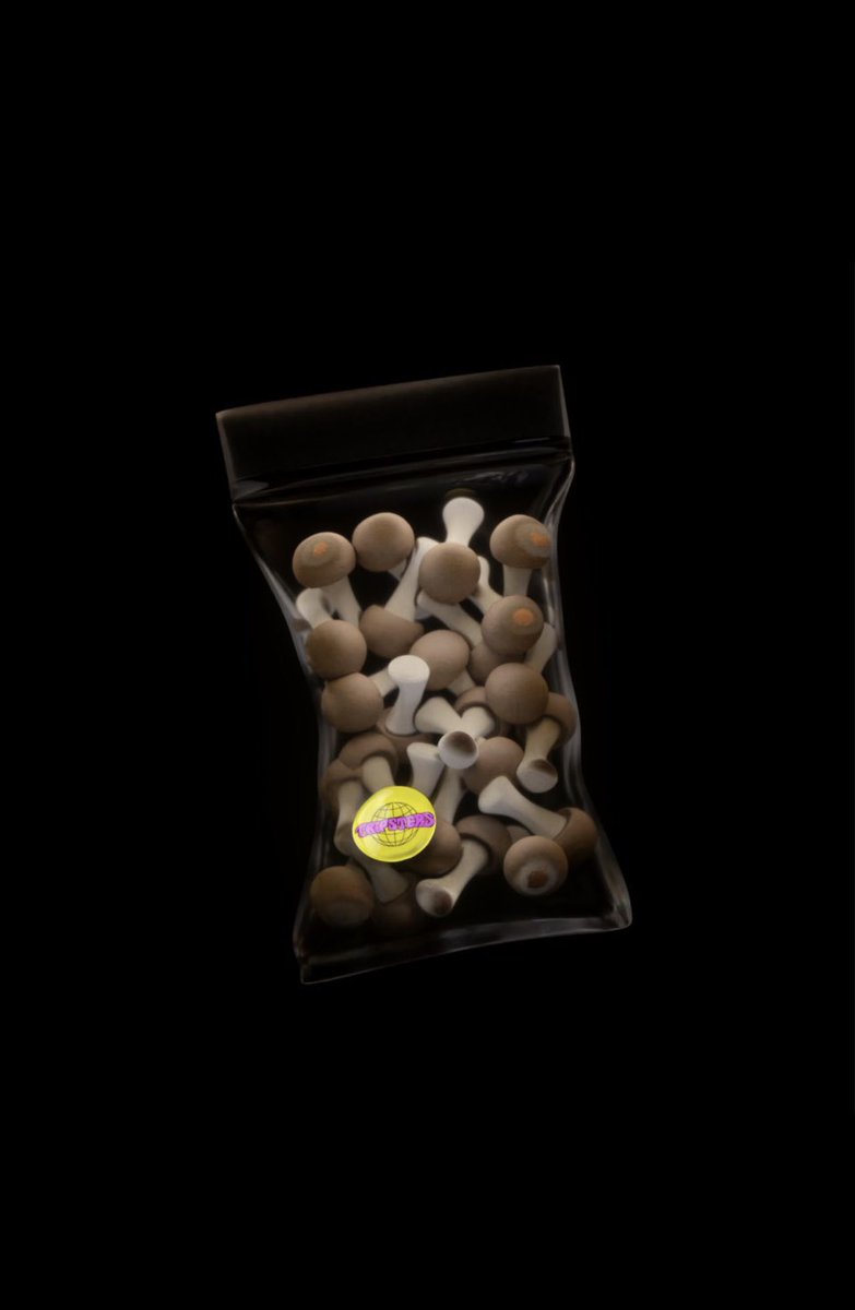 bonglovi's tweet image. Jump on the @Tripsters wave homie - we have more @BoredApeYC holders tripping their apes this week!!

Special stuff in the works 🧪🍄