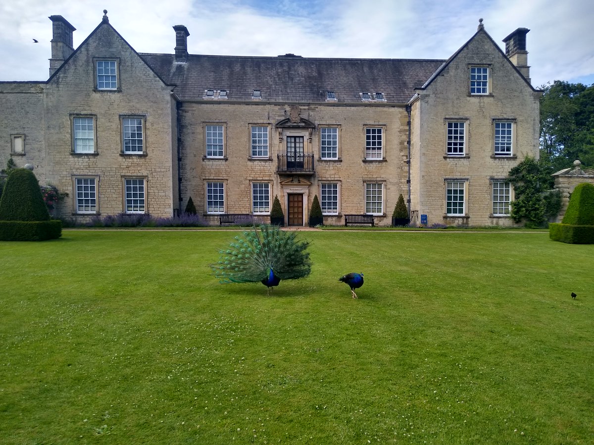 NunningtonHall's tweet photo. Thank you to everyone who came to #LoveLocal yesterday! The peacocks are enjoying some peace and quiet today. Thank you to all the stalls, visitors, volunteers and staff for making it such a great day 🎉

We'd love to see your photos of the event - please share them with us☺️ https://t.co/gjK5DRDu2o