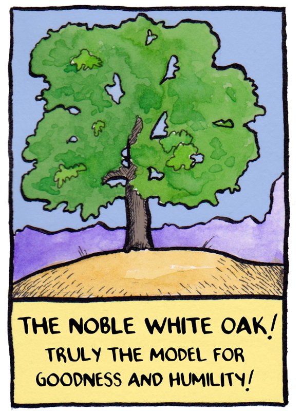 False Knees Tree Facts 
