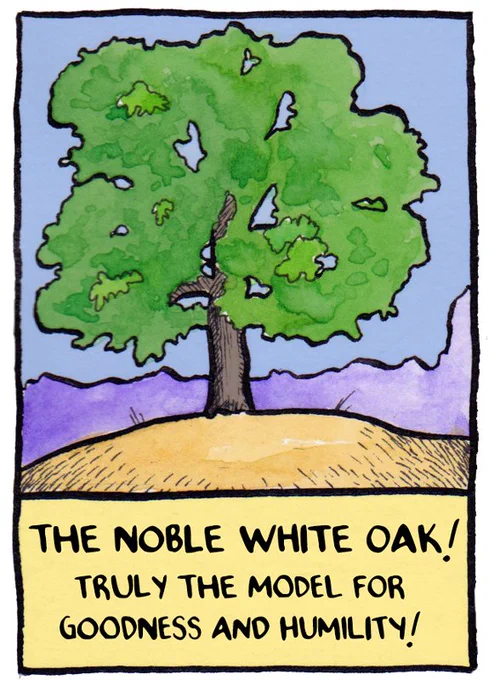 False Knees Tree Facts 