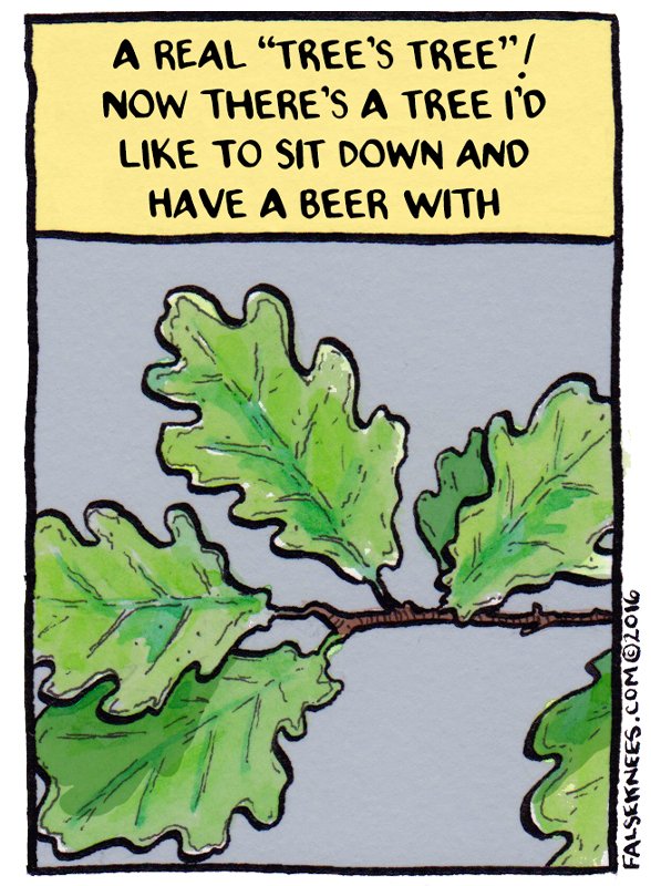 False Knees Tree Facts 