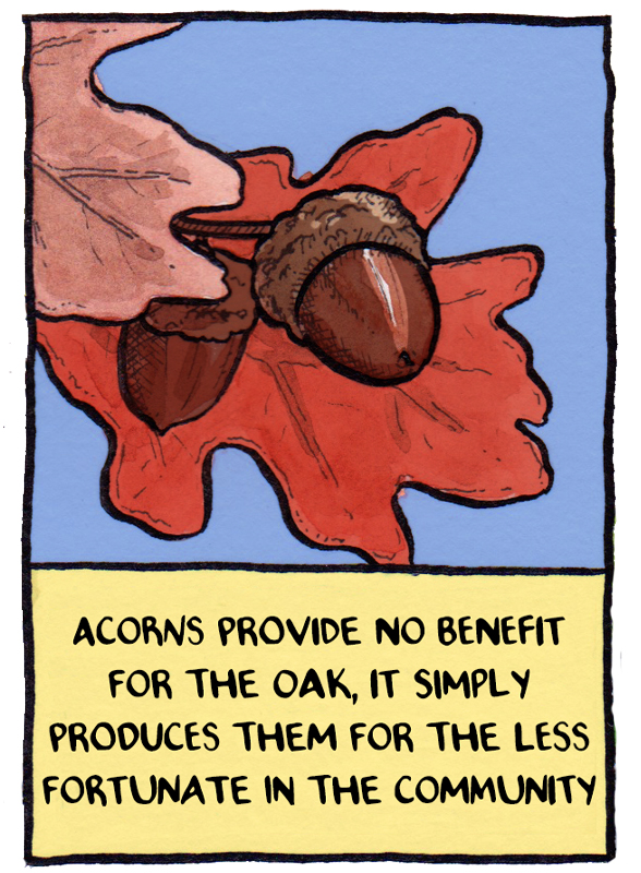 False Knees Tree Facts 
