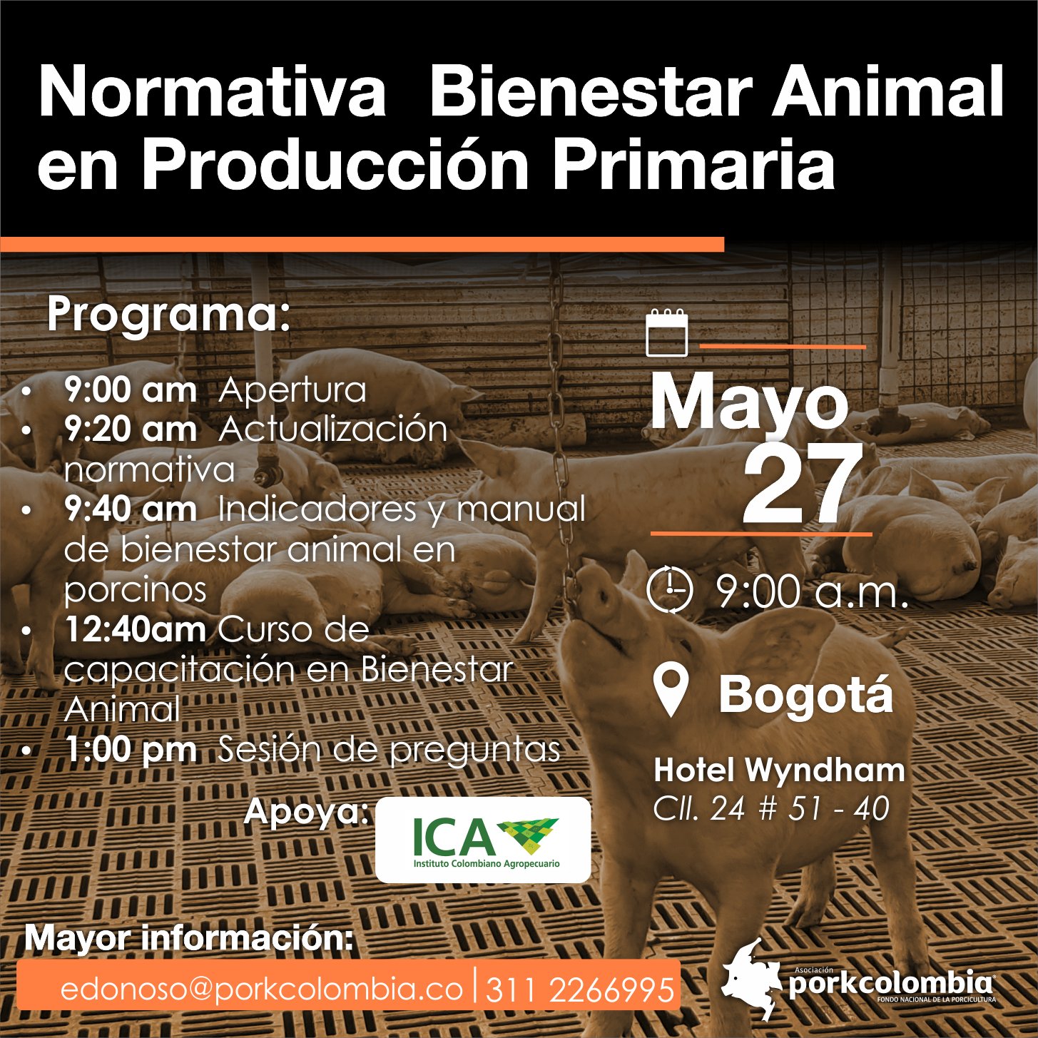 Porkcolombia on Twitter: Porkcolombia on Twitter: